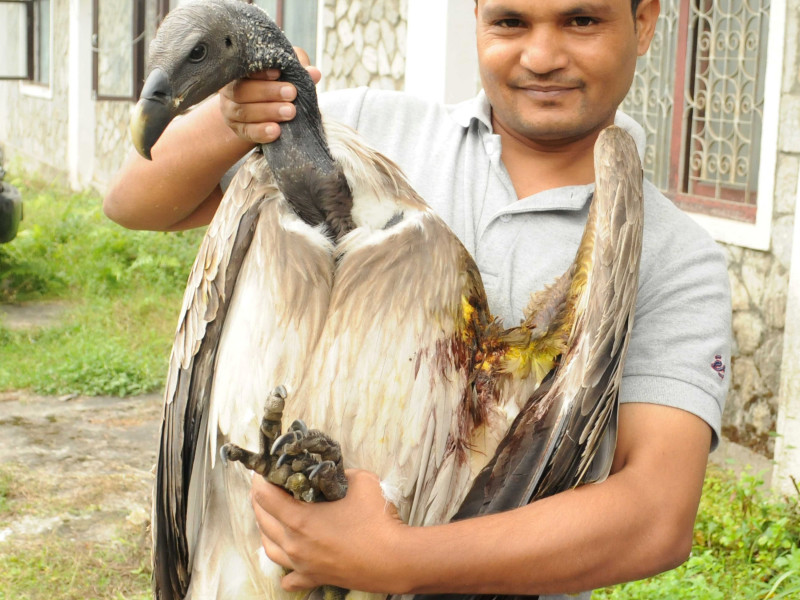 गिद्ध पछ्याउने पत्रकार